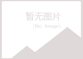 贵池小夏咨询有限公司